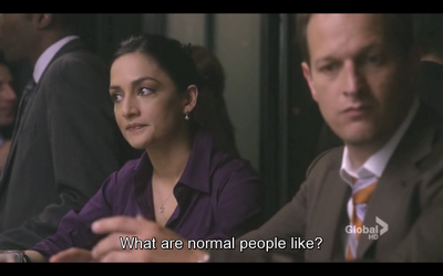 GUIONECES: ¿CUÁNTO NECESITA SABER EL ESPECTADOR SOBRE UN PERSONAJE? THE GOOD WIFE (II)