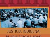 LIBRO: Justicia indígena plurinacional Bolivia