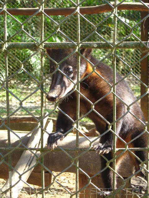 En la selva peruana: entre la belleza y la barbarie