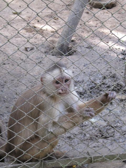 En la selva peruana: entre la belleza y la barbarie
