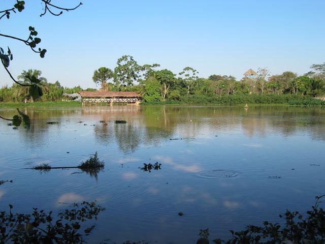 En la selva peruana: entre la belleza y la barbarie