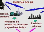 Biomasa Forestal: video