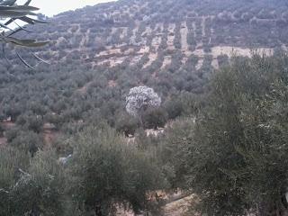 Reflexiones. Vigesimo primero de Octubre.
