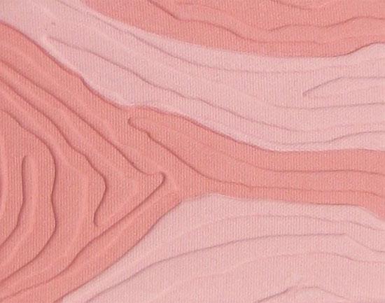 detalle tono nº5 Pinky Coral