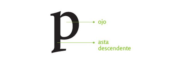 anatomia tipográfica