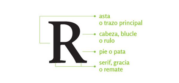 anatomia tipográfica