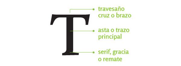 anatomia tipográfica