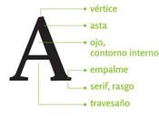 Anatomía Tipográfica
