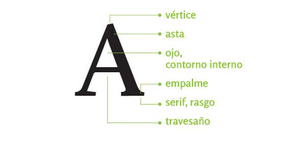 anatomia tipográfica