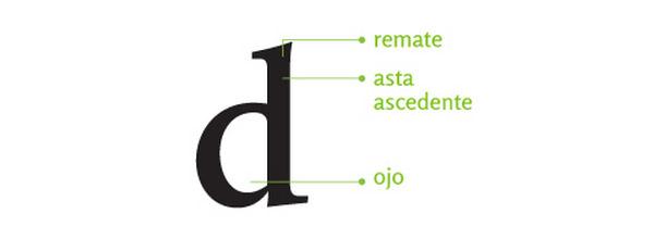 anatomia tipográfica