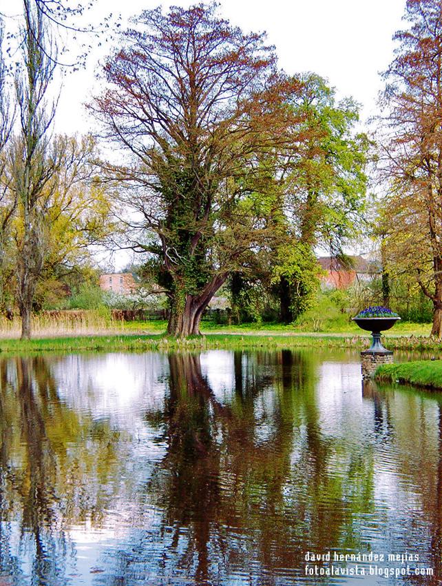 El árbol de la Vida