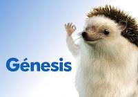 Claves del éxito de los seguros online (el caso de Génesis Seguros)