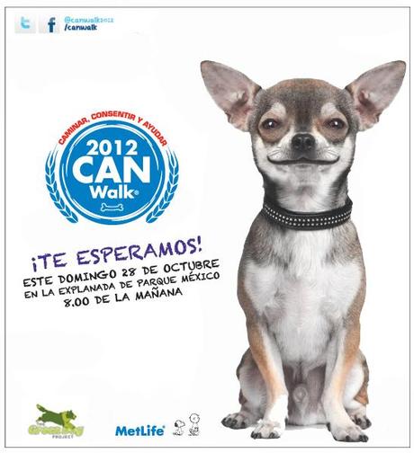 Can Walk presentado por MetLife