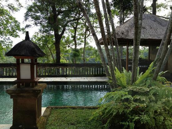 Un Lugar para Perderse   /    A place to get lost