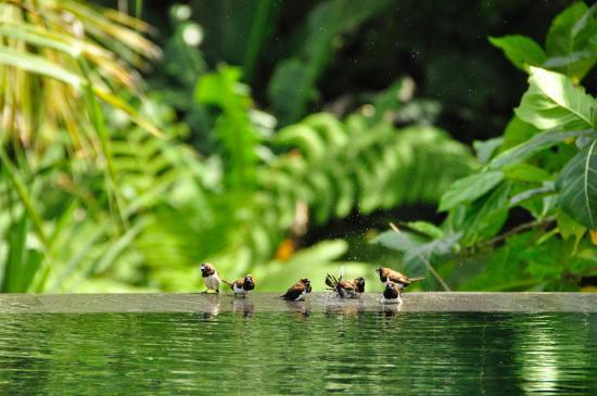 Un Lugar para Perderse   /    A place to get lost