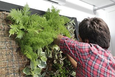 “Curso Intensivo Formación Jardín Vertical”