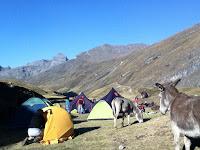 Huaraz (Perú) - El camino a la laguna 69