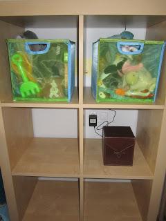 Todo bien ordenadito