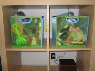 Todo bien ordenadito