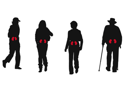 Adaptación en cada fase de la enfermedad renal