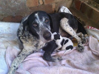 ABUELA ABANDONADA HACE AÑOS CON UN BEBE EN CASA ABANDONADA. (SEVILLA)