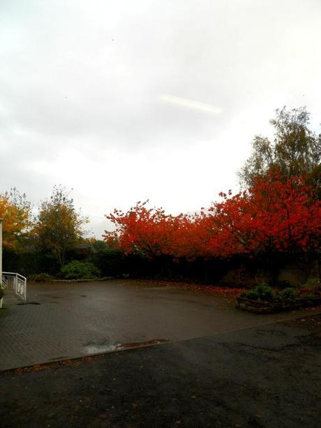 Bloggertrotters: rally de Otoño