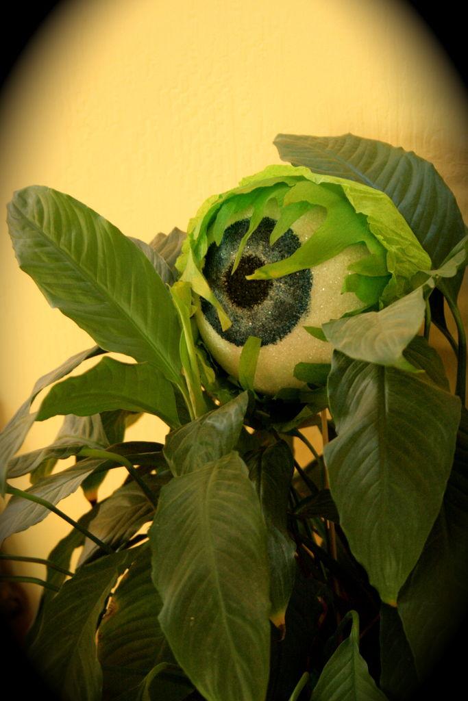 Halloween: Plantas asesinas