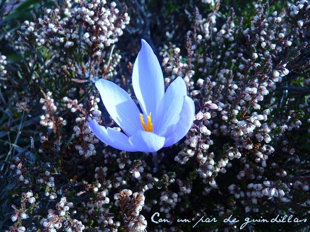 Estar entra Babia y la Luna