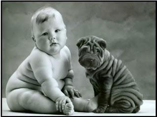 Mascotas y niños, responsabilidad y compromiso