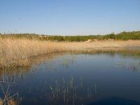 C:\fakepath\Clot_8729.jpg C:\fakepath\Clot_8729.jpg