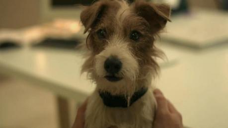 Mi filmoteca: Beginners de Mike Mills Photobucket