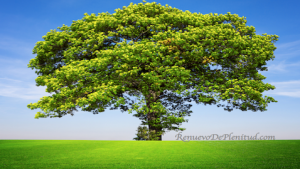 El Árbol de los Problemas