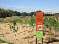 Visita rápida por el Botánico