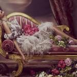 baroque3_jpg_1351002485