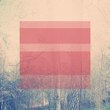 Plastic Flowers – Natural Conspiracy (2012)