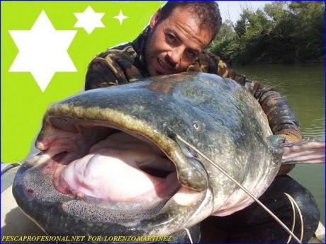 GUIAS DE PESCA 640x480 GUIA DE PESCA DE SILURO Y LUCIOPERCA