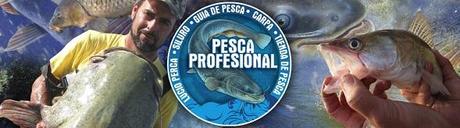 guia de pesca de siluro y lucioperca1 GUIA DE PESCA DE SILURO Y LUCIOPERCA