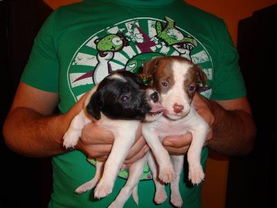 Issey y Nailah: dos bebés de 3 semanas en el arcén de la carretera !!!