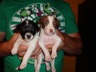 Issey y Nailah: dos bebés de 3 semanas en el arcén de la carretera !!!