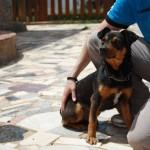 TOÑO, SE QUEDA EN LA CALLE...MUY URGENTE!!