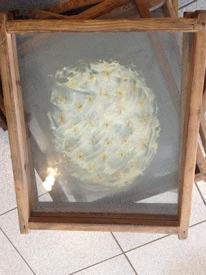 LA ORGÍA DEL PERFUME