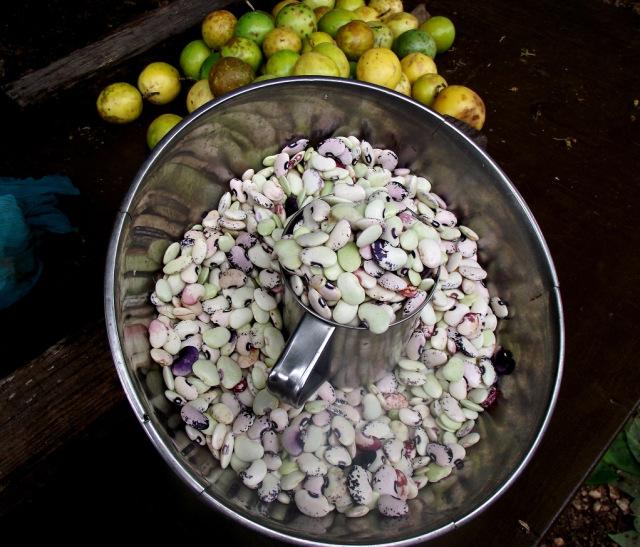 ¡Moro de habas criollas!