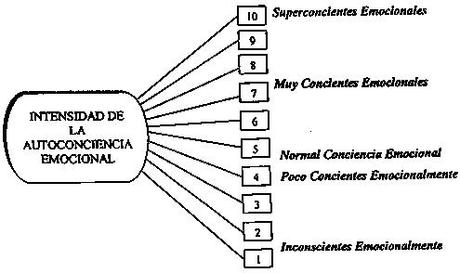 Inteligencia emocional y organizaciones emocionalmente inteligentes