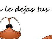 ¡Cómo cambia vida después trasplante!