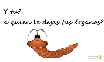 ¡Cómo cambia la vida después de un trasplante!