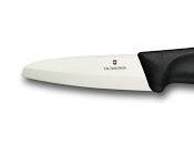 Bienvenidos Sitio www.informanet1.com Director Gen...