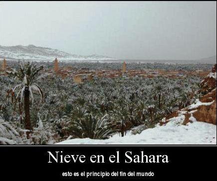 NIEVE EN EL SAHARA. INSOLITO.