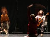 fiestas aniversarias pereira, ciclo música danza hace reconocimiento artistas pereiranos