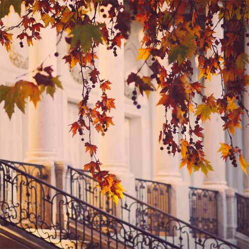 Un fin de Semana de Otoño    /     An autumn weekend