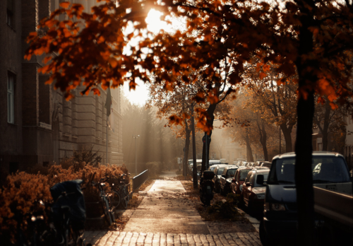 Un fin de Semana de Otoño    /     An autumn weekend